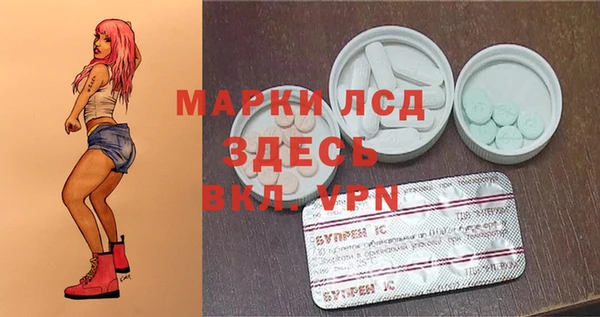 спайс Магас